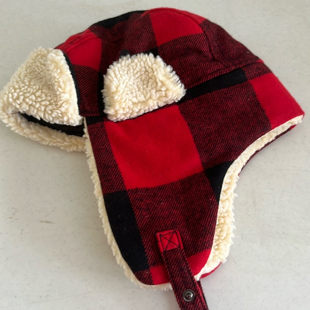 Swiss tech winter hat